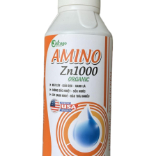 Amino Zn1000 Organic FDA