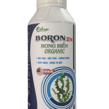 Boron hữu cơ 