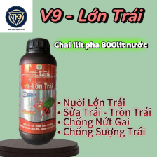 V9 Lớn Trái FDA 