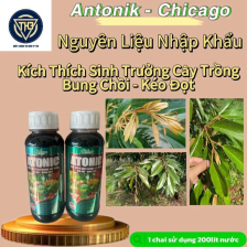 Atonik Bung Chồi Kéo Đọt Chicago