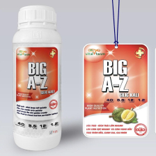 Big A-Z Nhập Khẩu Thổ Nhĩ Kỳ