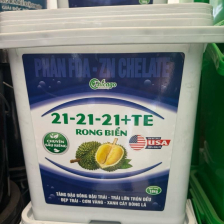 Xô 212121 rong biển 