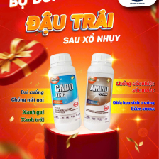 Bộ đôi đậu trái - 1 chai canxibo kẽm + 1 chai amino 