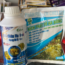 Combo kích mắt cua cực mạnh