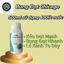 Bung Đọt Hữu Cơ FDA