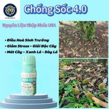 Chống sốc 4.0
