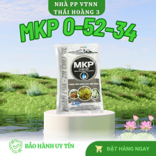 MKP nguyên liện Israel