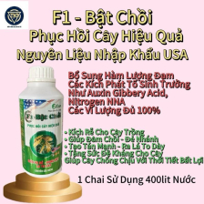 F1-Bật Chồi FDA 