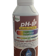 PH up FDA