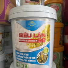 Siêu Lân 98 