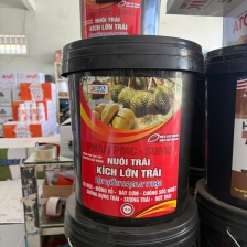 Xô nuôi trái - Kích lớn trái Thái Lan 15 Lit